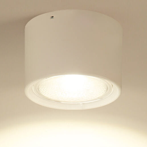 Pico Cylinder LED Flush Mount Spotlight