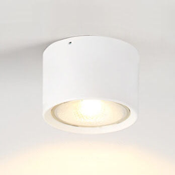 Pico Cylinder LED Flush Mount Spotlight