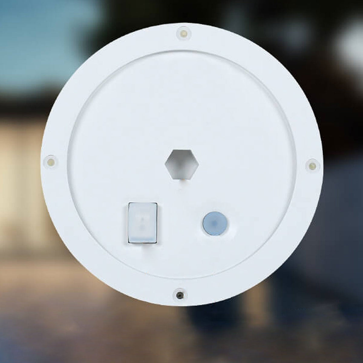 Solar Globe Lawn Light