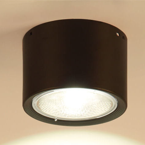 Pico Cylinder LED Flush Mount Spotlight
