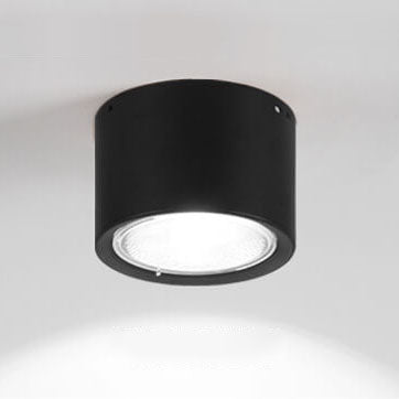Pico Cylinder LED Flush Mount Spotlight