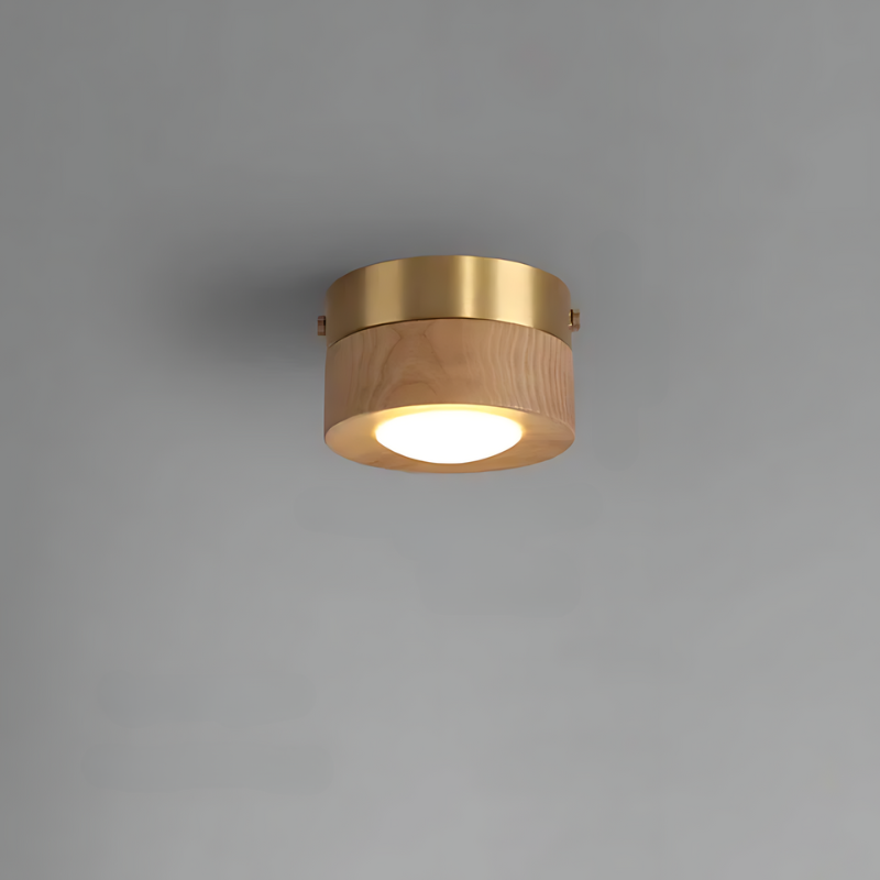 Walnut LED Spotlight Ceiling Lamp