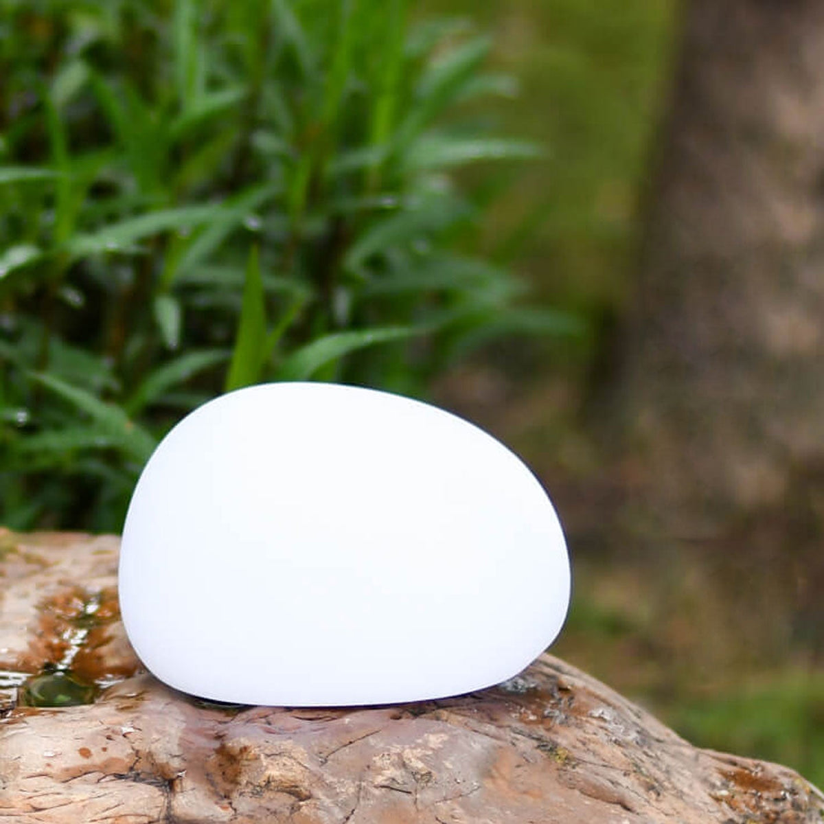 Solar Globe Lawn Light
