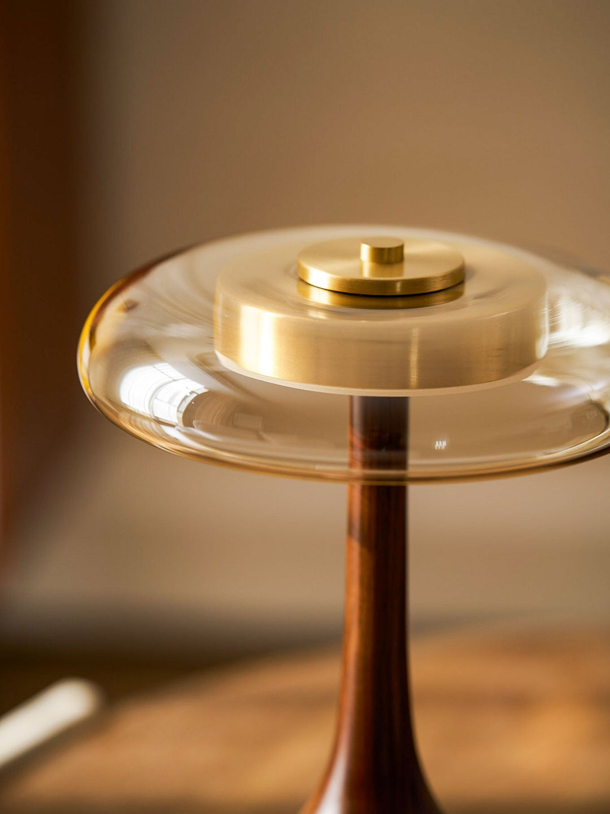 Veyra Modern Glass LED Table Lamp