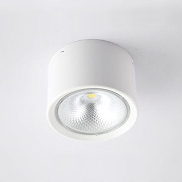 Pico Cylinder LED Flush Mount Spotlight