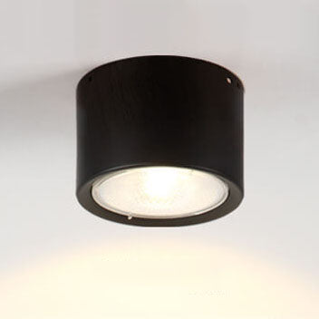 Pico Cylinder LED Flush Mount Spotlight
