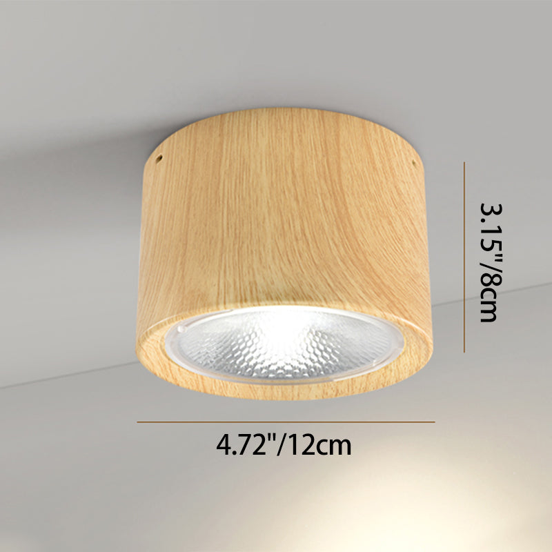 Pico Cylinder LED Flush Mount Spotlight