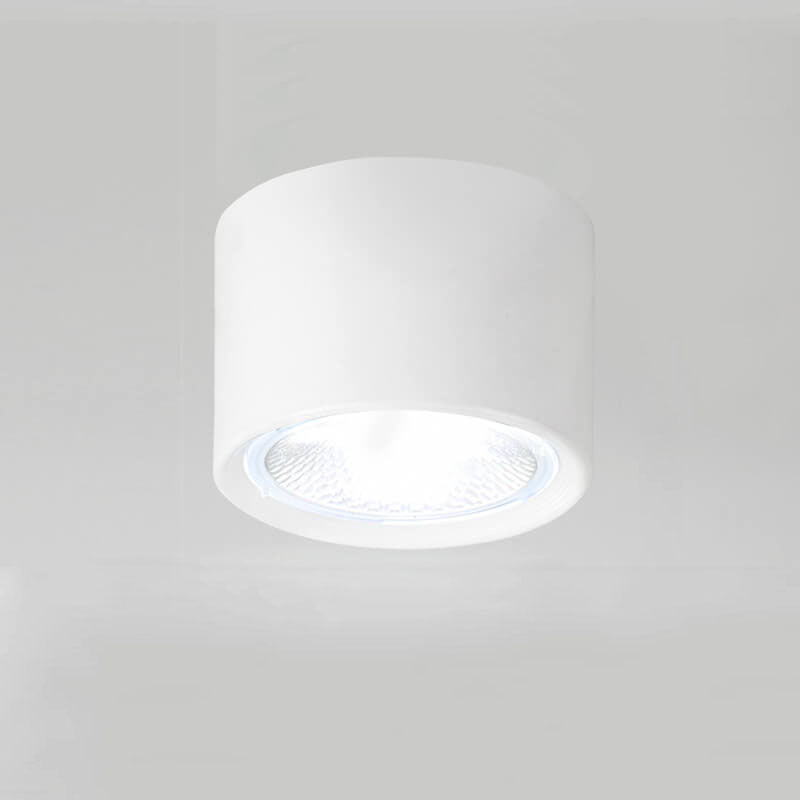 Pico Cylinder LED Flush Mount Spotlight